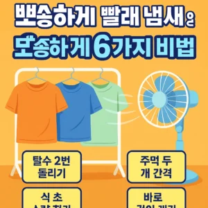 장마철 빨래 냄새 없이 뽀송하게 말리는 6가지 비법