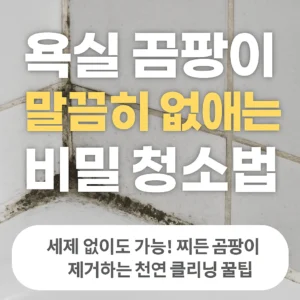 욕실 곰팡이 말끔히 없애는 비밀 청소법