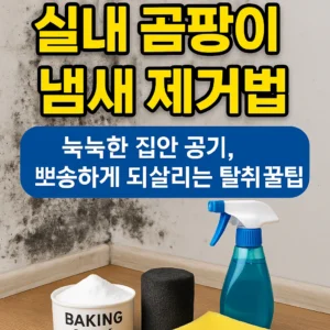 실내 곰팡이 냄새 제거법