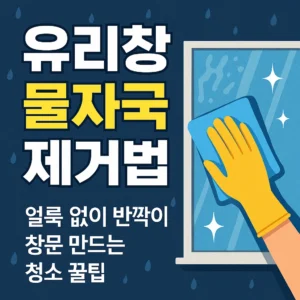 얼룩 없이 반짝이는 창문 만드는 청소 꿀팁