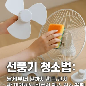 날개부터 망까지 찌든 먼지 싹 제거하는 여름철 필수 청소 꿀팁