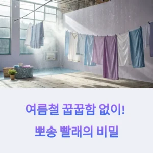 여름철 빨래 잘 마르는 법