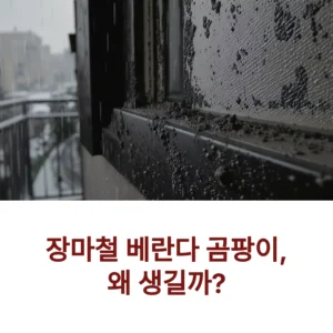 베란다 곰팡이 제거법