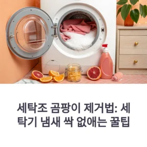 세탁조 곰팡이 제거법