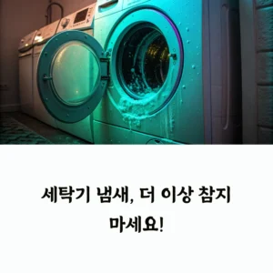 세탁기 냄새 제거하는 법