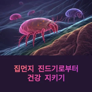 집먼지 진드기 퇴치법