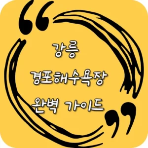 강릉 경포해수욕장 완벽 가이드