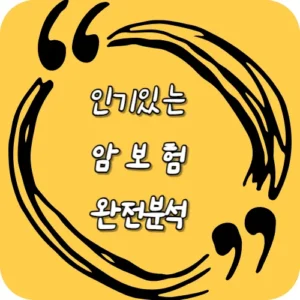 2025년 인기 암보험 완전 분석