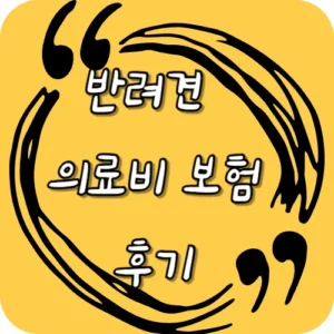 반려견 의료비 보험 후기