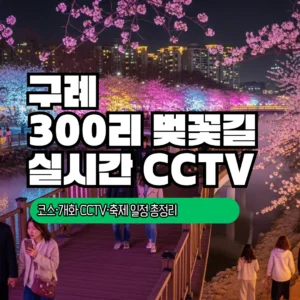 구례 300리 벚꽃길