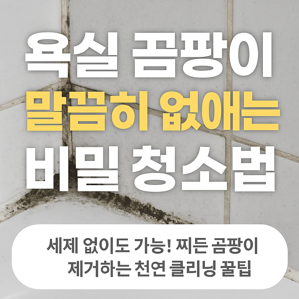 욕실 곰팡이 말끔히 없애는 비밀 청소법