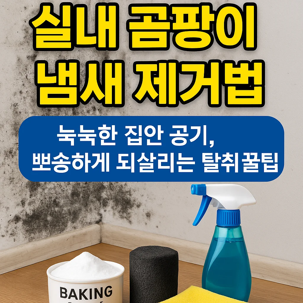 실내 곰팡이 냄새 제거법