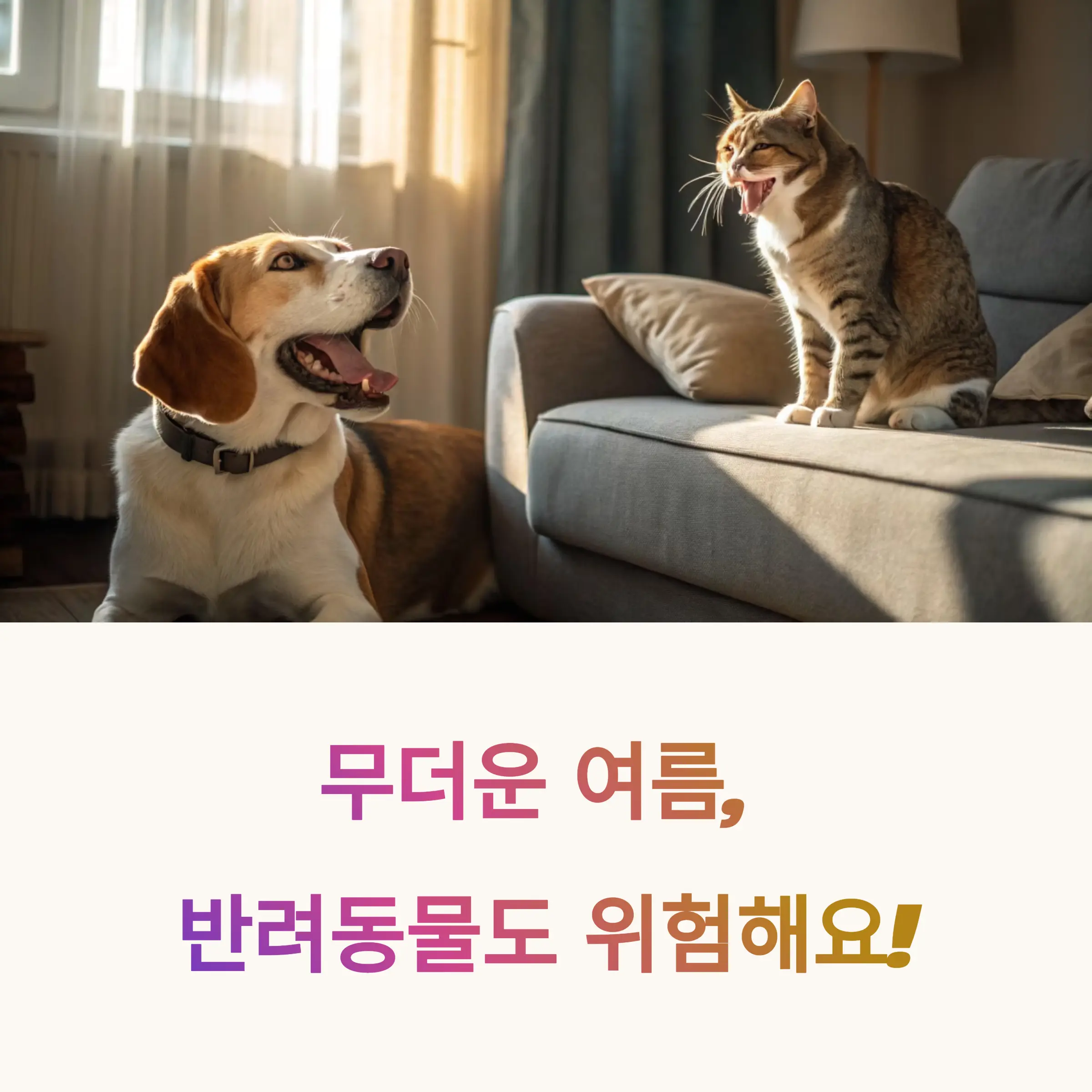여름철 반려동물 건강 지키는 6가지 실내 관리법