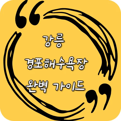 강릉 경포해수욕장 완벽 가이드