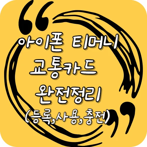 아이폰 티머니 교통카드 완전정리