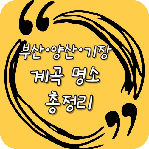 부산·양산·기장 계곡 명소 총정리