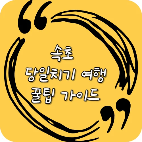 속초 당일치기 여행 꿀팁 가이드