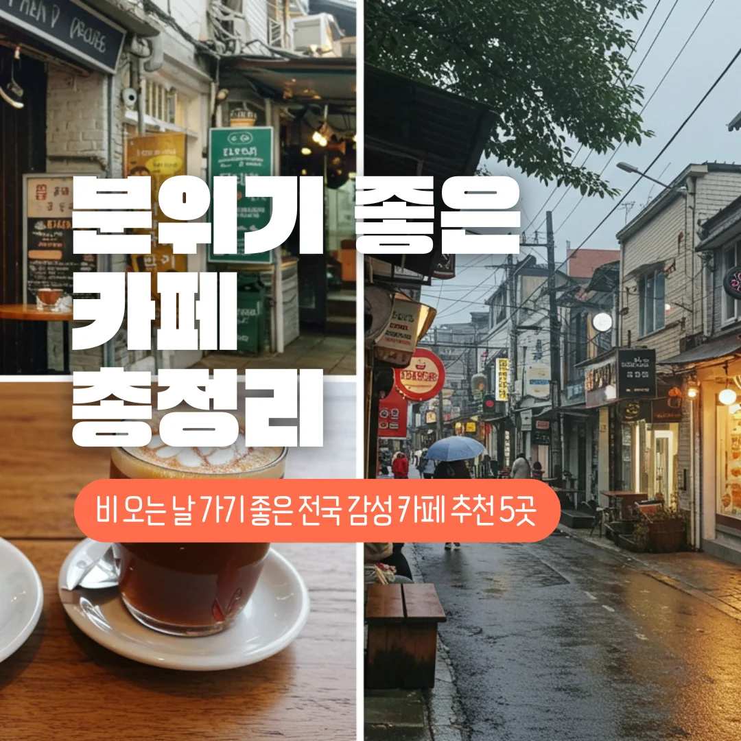 전국 감성 카페