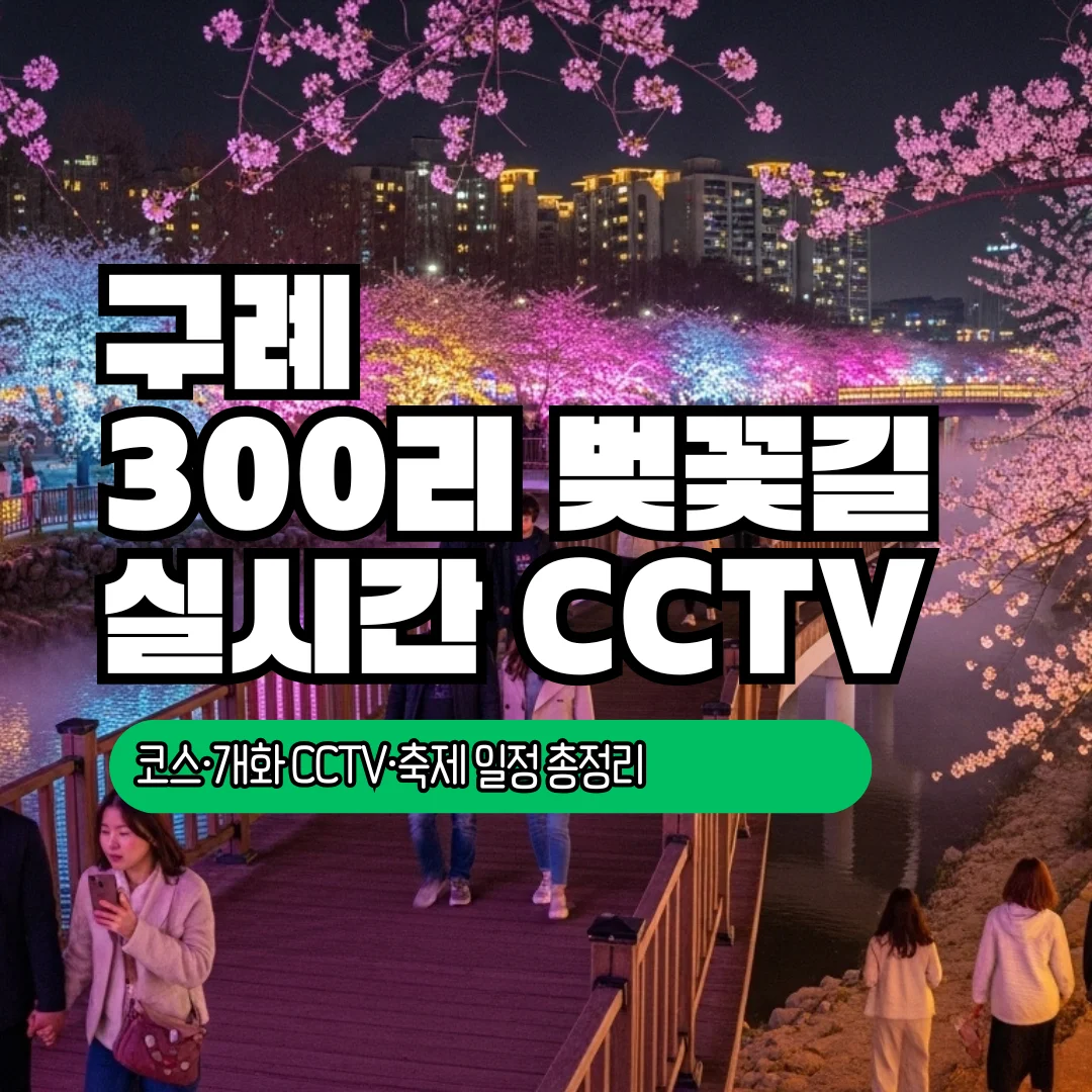 구례 300리 벚꽃길